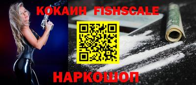 крисы Можга