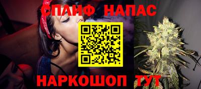 крисы Можга