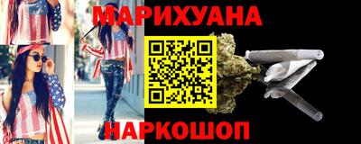 крисы Можга