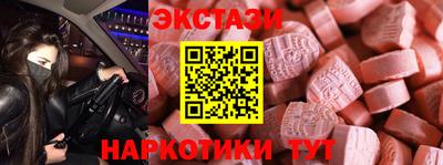 крисы Можга