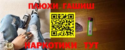 крисы Можга