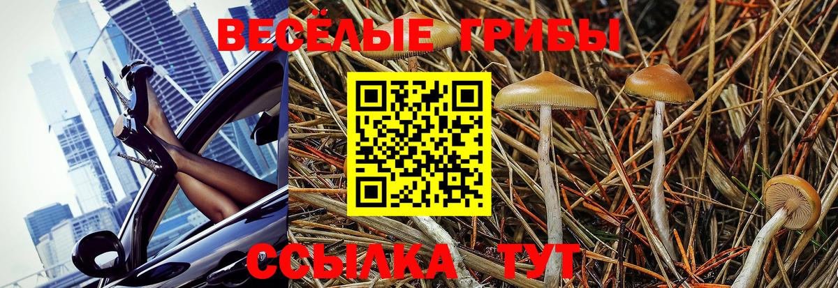 Галлюциногенные грибы мухоморы Стрежевой