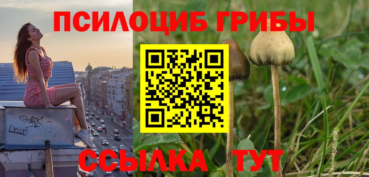 Галлюциногенные грибы Magic Shrooms  Вход с VPN  Стрежевой  Галлюциногенные грибы Psilocybe 